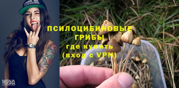 стаф Инсар