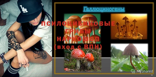 ALPHA-PVP Богородицк