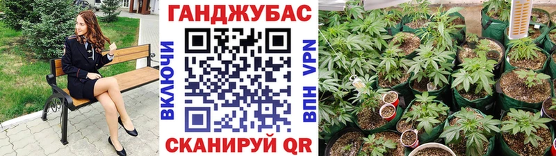 omg как войти Бирюч Марихуана тримм